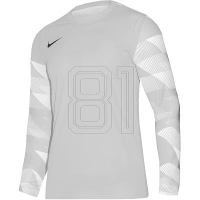 Nike Dry Park IV JSY LS GK Jr CJ6072-052 Trikot