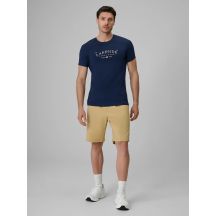 Herren-Freizeitshorts 4F 4FRSS26TSHOM0929-83S