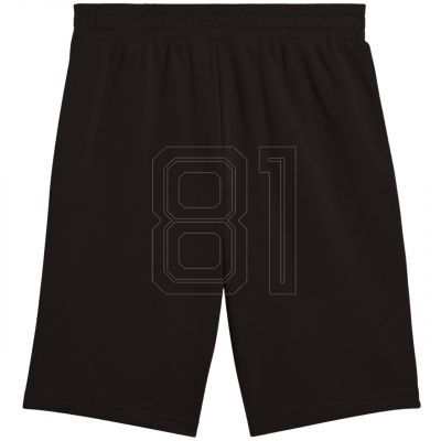 2. Puma Ess 2 Farbe Nr. 1 Logo Shorts M 684715 01