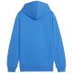 4. Puma Team Goal Casuals Hoddy Jr Sweatshirt 658619 02