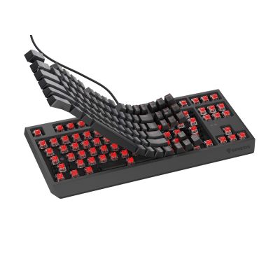 4. GENESIS THOR 230 TKL CZ/SK RGB MECHANISCHE GAMING-TASTATUR OUTEMU ROT SCHWARZ HOT SWAP