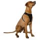 3. Hundegeschirr mit reflektierendem Band, Größe 59–81 cm, extra groß