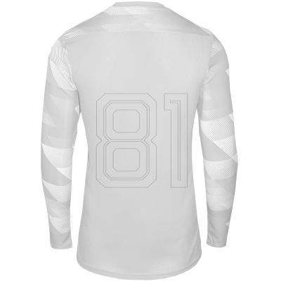 3. Nike Dry Park IV JSY LS GK Jr CJ6072-052 Trikot