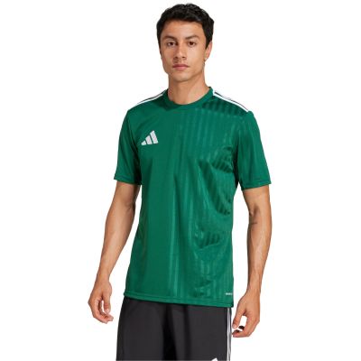 12. Herren adidas Campeon 25 Trikot grün JF6063