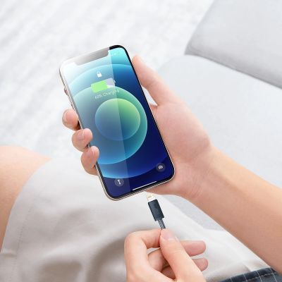 10. Baseus Kabel für iPhone USB - Lightning 2m, 2.4A grau (CALD000516)