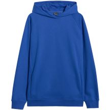 4F M 4FWAW25TSWSM1946 36S Sweatshirt