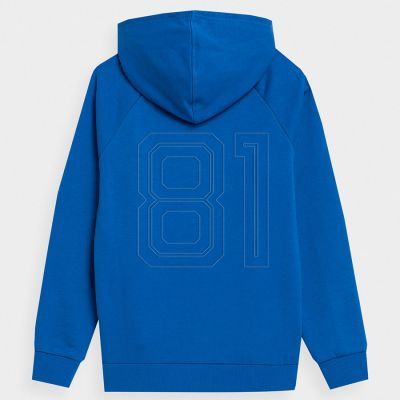 2. 4F Jr Sweatshirt 4FJSS23TSWSM220 36S
