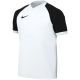 Nike Dri-FIT Trophy VI Kinder-T-Shirt Weiß HV8158 100