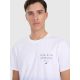 2. Herren-T-Shirt mit Aufdruck, regulär, Größe 4F 4FRAW25TTSHM3226-31S