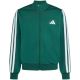 2. adidas Essentials Climacool Grünes Kinder-Sweatshirt KR2147
