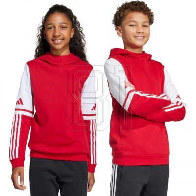 2. Adidas Squadra 25 Sweat Hoody Jr JD4805