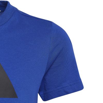 9. adidas Big Logo Tee Jr HP0840