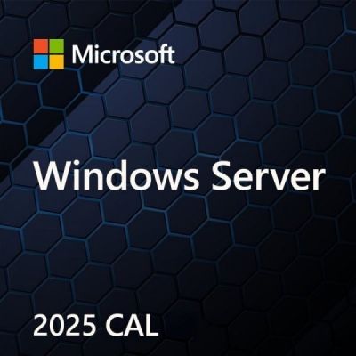 Microsoft Windows Server CAL 2025 PL 5Clt Benutzer-CAL OEM