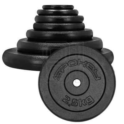 3. Gusseisengewicht 2,5 kg Spokey Sinis SPK-944483
