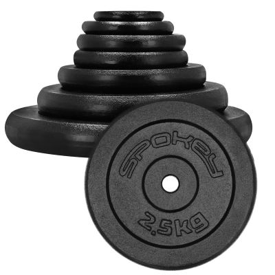 3. Gusseisengewicht 2,5 kg Spokey Sinis SPK-944483