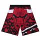 2. Mitchell & Ness NBA Chicago Bulls Jumbotron 2.0 Sublimierte Shorts