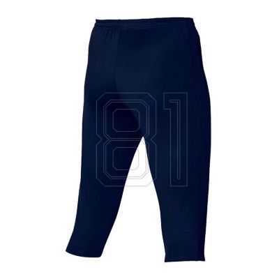 2. Nike Dri-FIT Academy M DR1365-451 Shorts