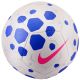 2. Nike Pitch Team HV6249-103 Ball