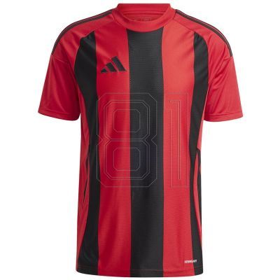 Adidas Gestreiftes 24 JSY M T-Shirt IW4556