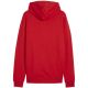 2. Puma Team Goal Casuals Hoody M 658618 01