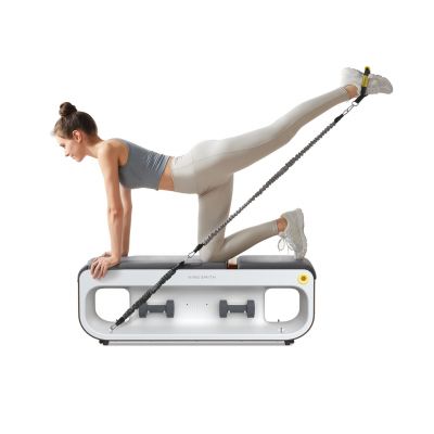 16. Kingsmith FBB1C Multifunktionale Trainingsbank