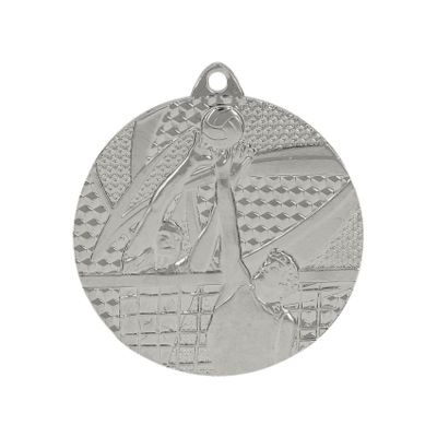 2. Silbermedaille - Volleyball