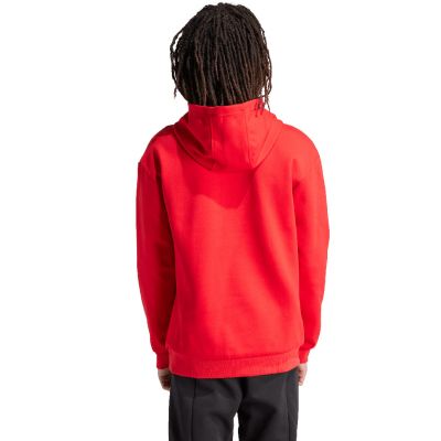 3. Adidas FI Bos Hd Oly M Sweatshirt IS8338