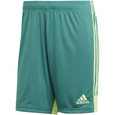 6. adidas M Tastigo 19 Shorts DP3251