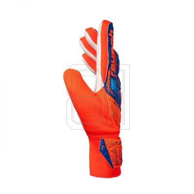 4. Goalkeeper gloves Reusch Attrakt Starter Solid M 5570514 2290