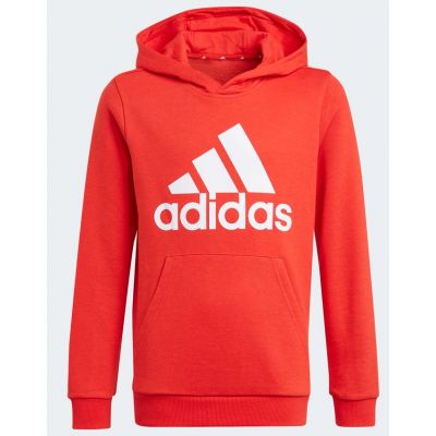 Adidas Essentials Big Logo Hoodie Jr GN4037 Sweatshirt