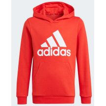 Adidas Essentials Big Logo Hoodie Jr GN4037
