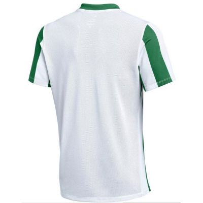 2. Nike Dri-FIT Stripped Division V Jr. Trikot FZ9341-103
