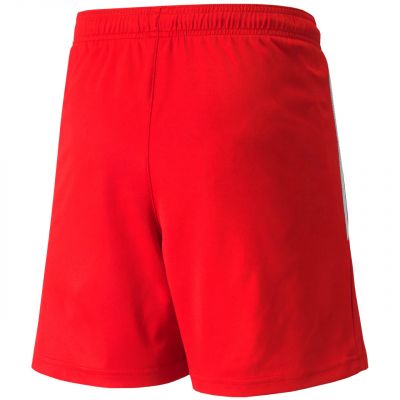 2. Puma teamLIGA Jr 704931 01 Shorts