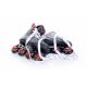 10. Tempish Volt-R 1000004807 Rollhockey-Skates