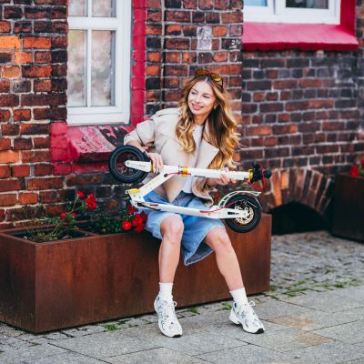 4. HM209T WEISS-GOLD ROLLER MIT SCHEIBENBREMSE NILS EXTREME