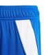 5. adidas Tiro 24 Jr IR9366 Shorts