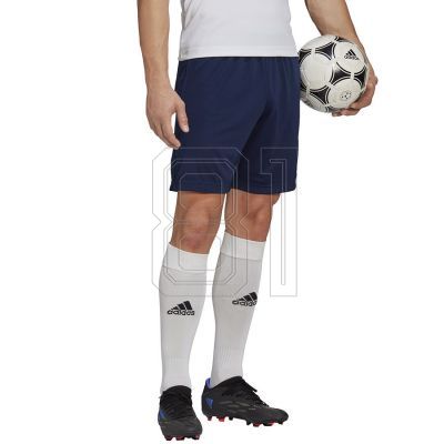 4. adidas Entrada 22 Trainingsshort M H57488