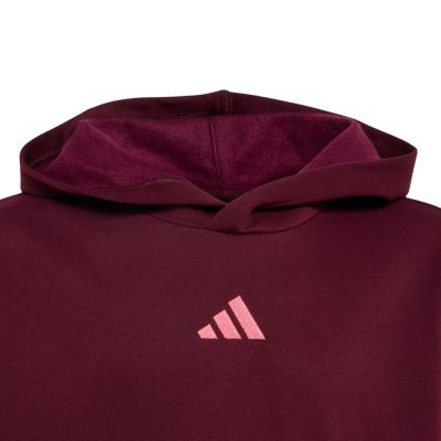 3. adidas Essentials Hoodie für Kinder, bordeauxrot KT3380