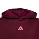 3. adidas Essentials Hoodie für Kinder, bordeauxrot KT3380