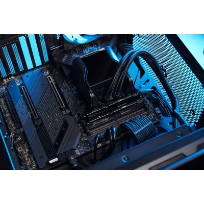 30. KINGSTON FURY Beast DDR5 32GB 5600MHz CL36 (2er-Kit) Schwarz EXPO