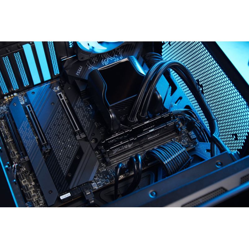 30. KINGSTON FURY Beast DDR5 32GB 5600MHz CL36 (2er-Kit) Schwarz EXPO