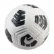 2. Nike Club Elite Teamball FZ7544-100