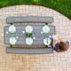 34. Lifetime 60346 Gartenset