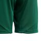5. adidas Tiro 24 Jr IT2409 Shorts