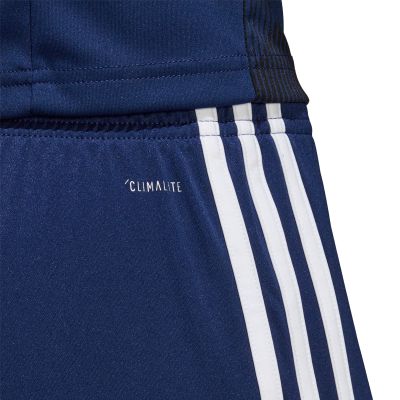 7. adidas Tastigo 19 M DP3245 Shorts