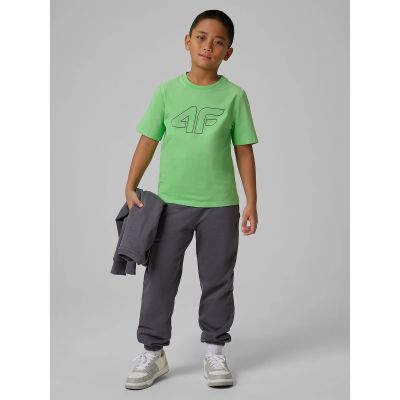 4. Normales bedrucktes Jungen-T-Shirt 4F 4FJRSS26TTSHM3599-10S