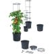 35. Tomatenpflanztopf mit Leiter, Fassungsvermögen 12 l