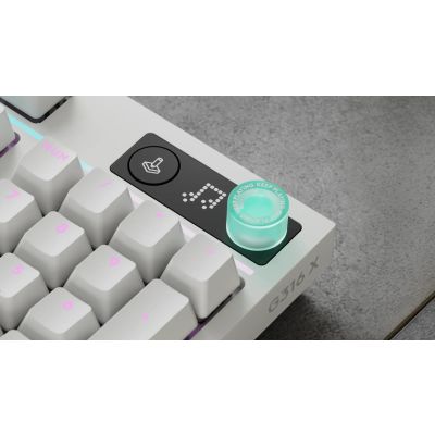 5. Logitech G G316 X 98 Gaming-Tastatur USB QWERTZ Englisch Weiß