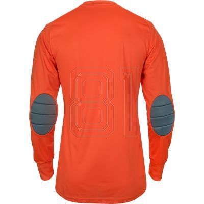 2. adidas Assita 17 M AZ5398 Torwarttrikot
