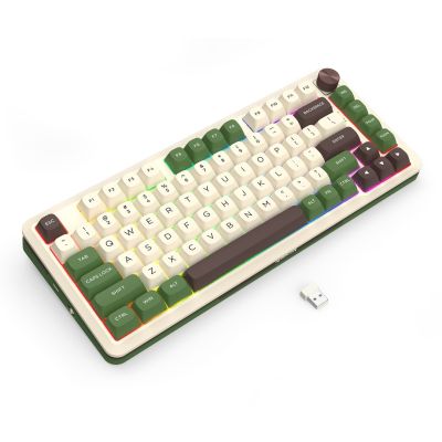 4. REDRAGON K681CGC-RGB-PRO Cyrus Tastatur USB + RF Wireless + Bluetooth Weiß, Grün